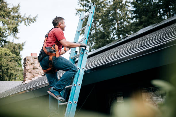 Best Roof Maintenance and Cleaning  in Aquebogue, NY